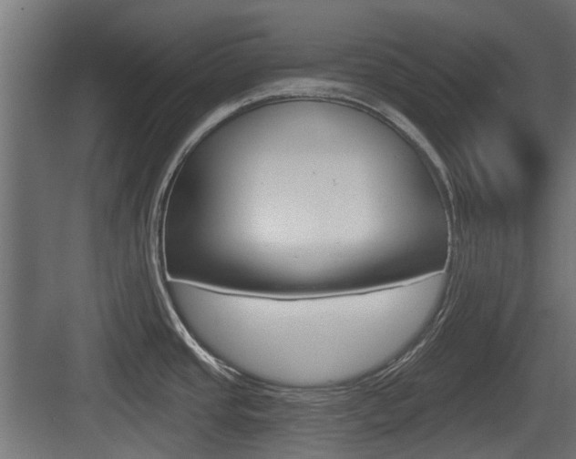 X0000083611437200702120712