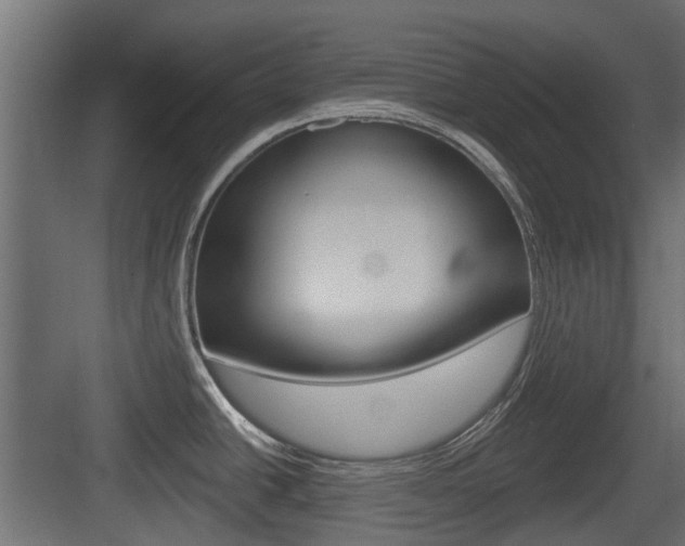 X0000083611438200702120712