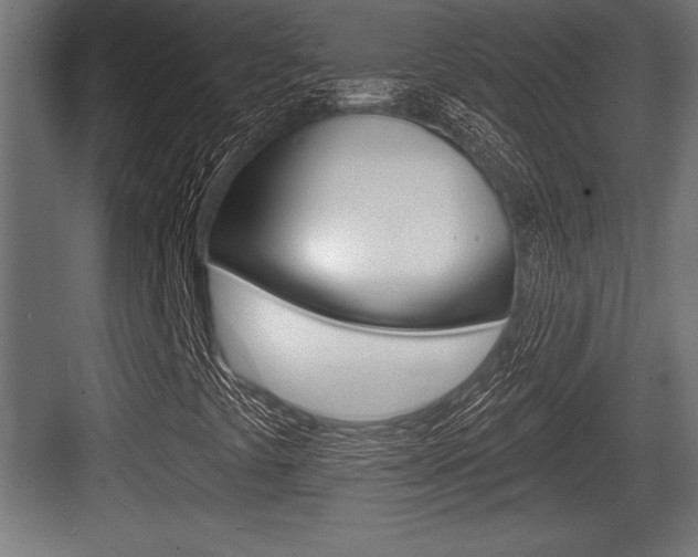 X0000083611441200702120711