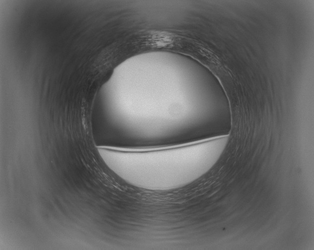 X0000083611442200702120711