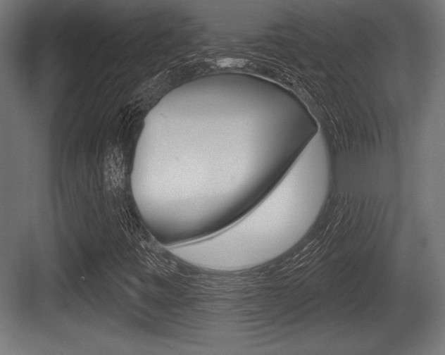 X0000083611443200702120711