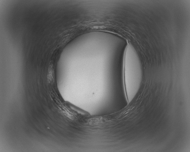 X0000083611444200702120711