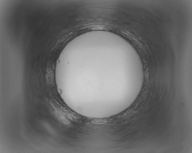 X0000083611446200702120711