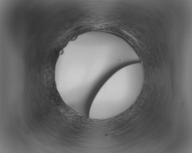 X0000083611447200702120711