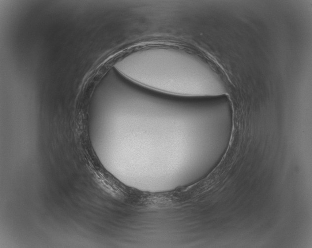 X0000083611448200702120711