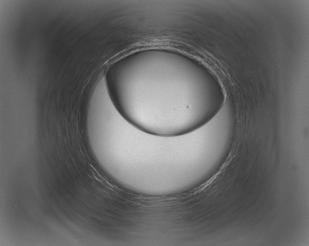 X0000083611449200702120711