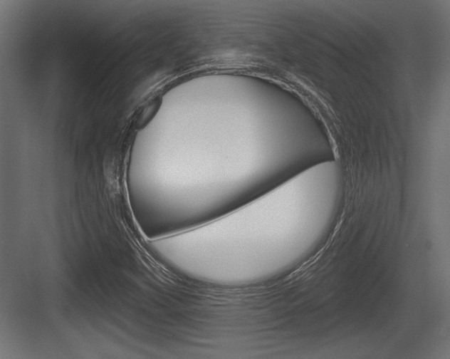X0000083611451200702120711