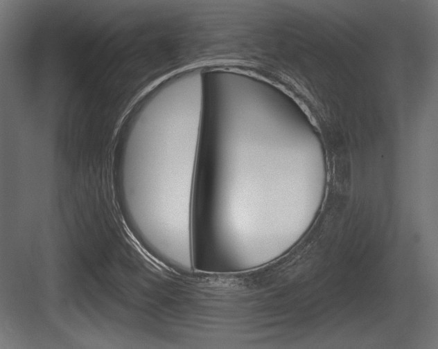 X0000083611452200702120711
