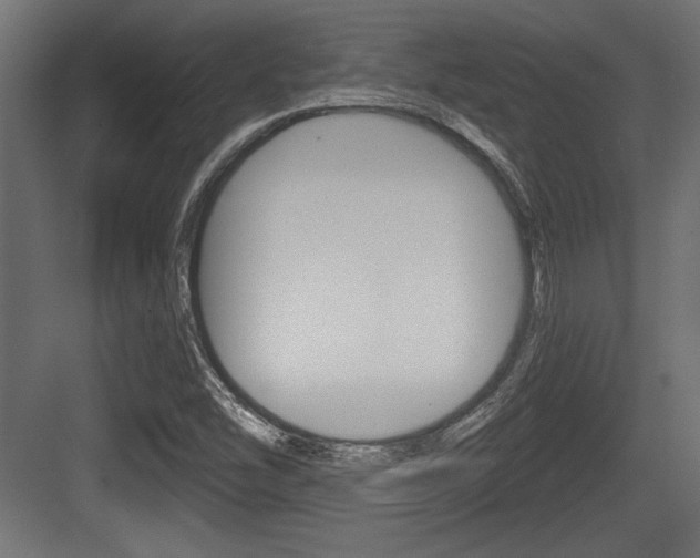 X0000083611454200702120711