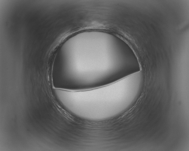 X0000083611455200702120711