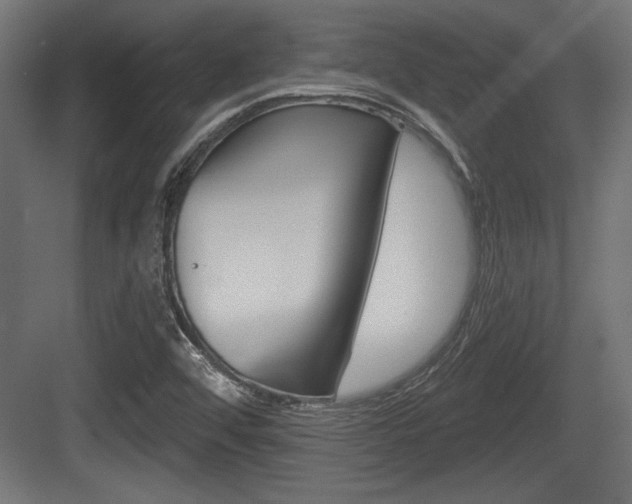 X0000083611456200702120711