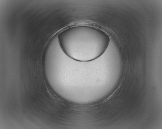 X0000083611457200702120711
