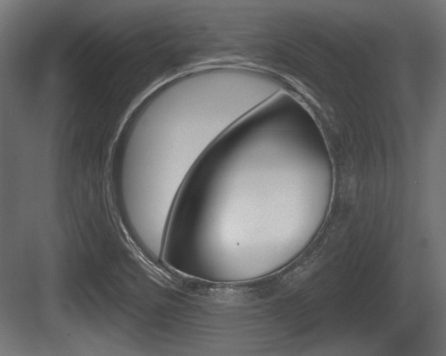 X0000083611458200702120711