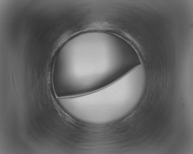 X0000083611459200702120711