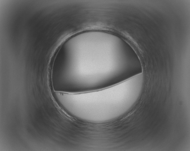 X0000083611463200702120711