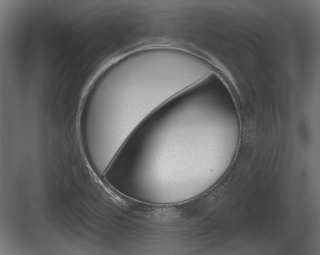 X0000083611464200702120711