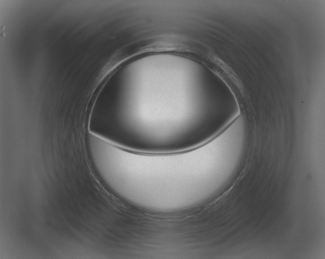 X0000083611465200702120711