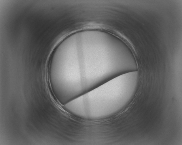 X0000083611467200702120711