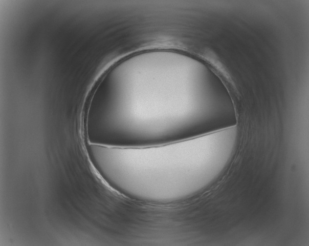 X0000083611468200702120711