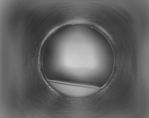 X0000083611469200702120711