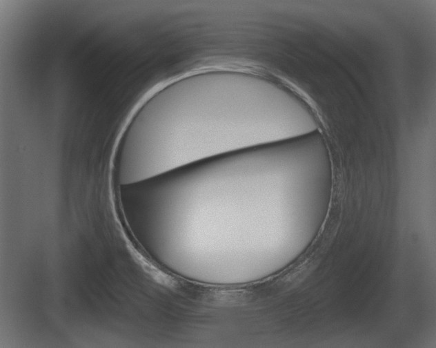 X0000083611471200702120711