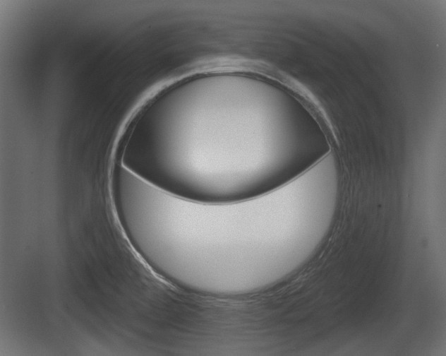 X0000083611472200702120711