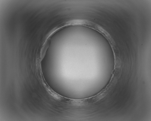 X0000083611473200702120711