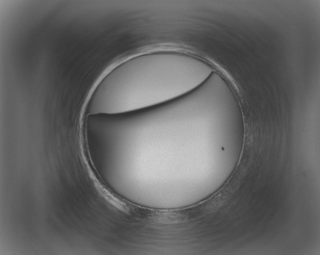 X0000083611475200702120711