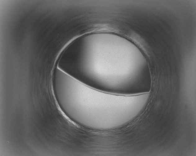 X0000083611476200702120711
