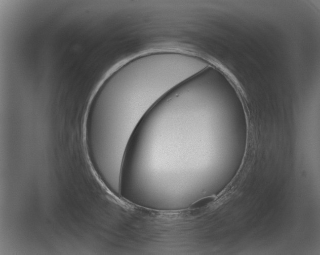 X0000083611477200702120711