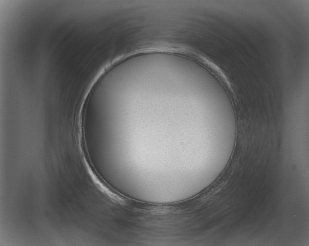 X0000083611479200702120711