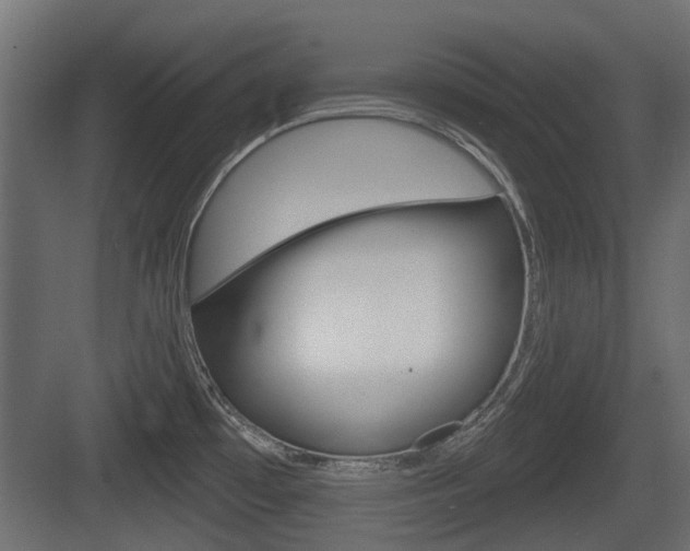 X0000083611481200702120711