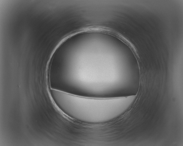 X0000083611483200702120711