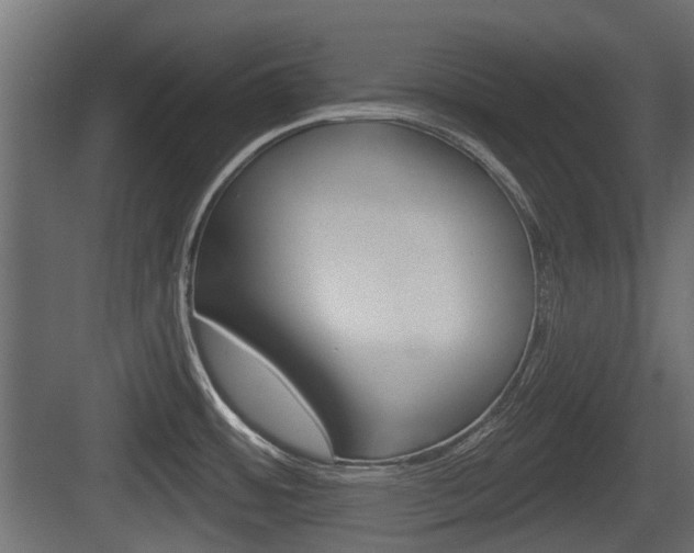 X0000083611484200702120711