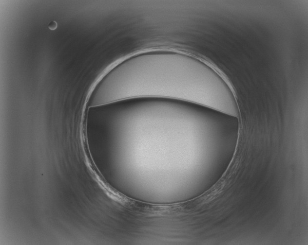 X0000083611485200702120711