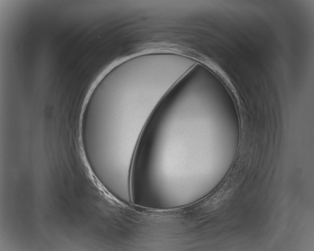 X0000083611488200702120711