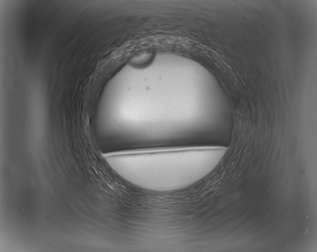 X0000083611489200702120710