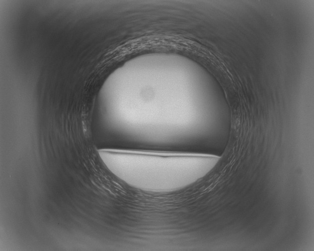 X0000083611490200702120710