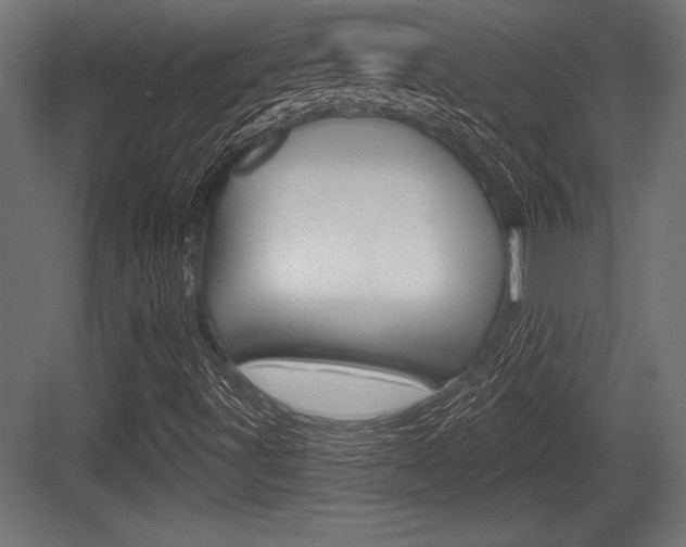 X0000083611491200702120710