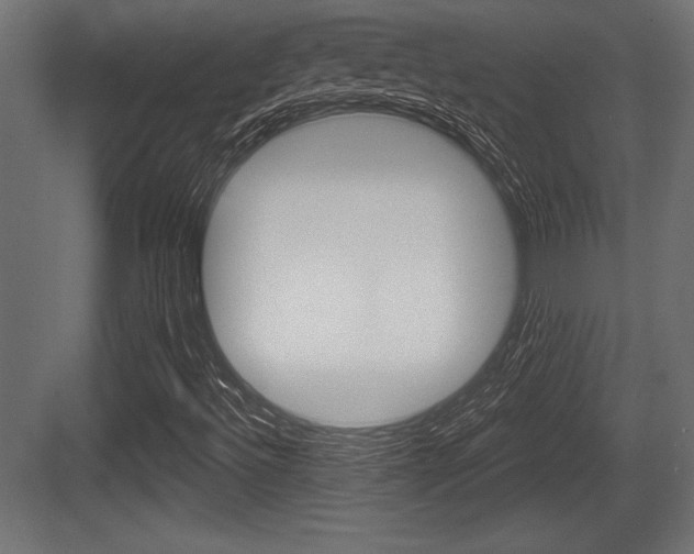 X0000083611492200702120710