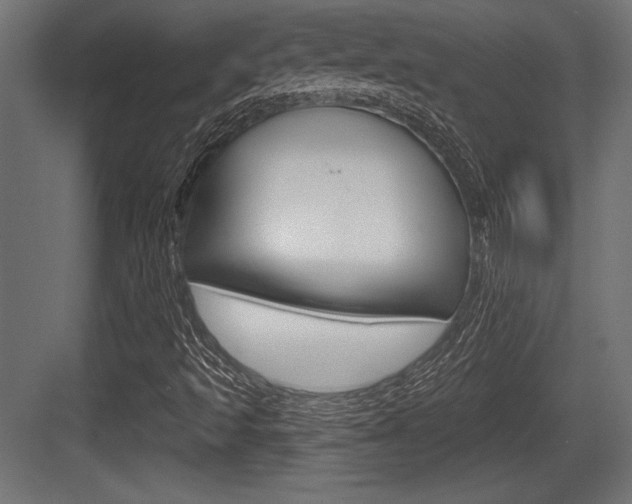 X0000083611493200702120710