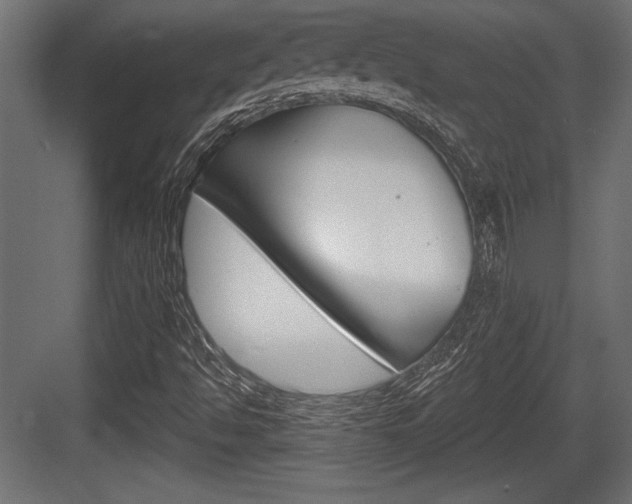 X0000083611494200702120710
