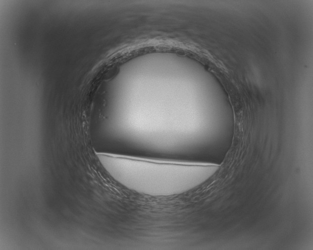 X0000083611495200702120710