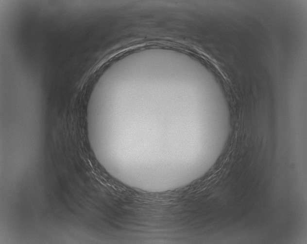 X0000083611496200702120710