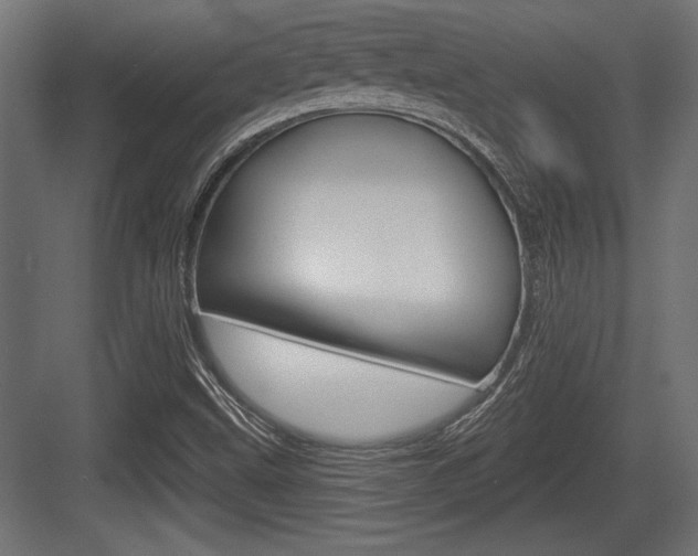 X0000083611499200702120710