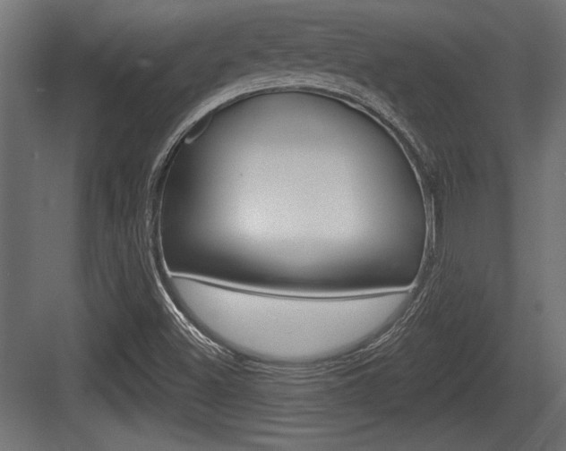 X0000083611500200702120710