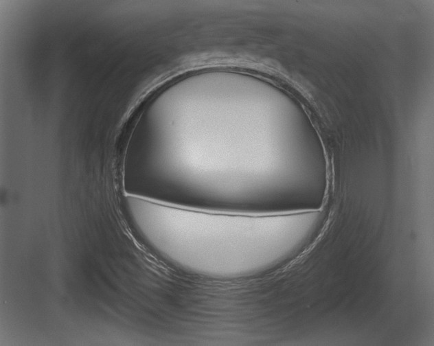 X0000083611501200702120710