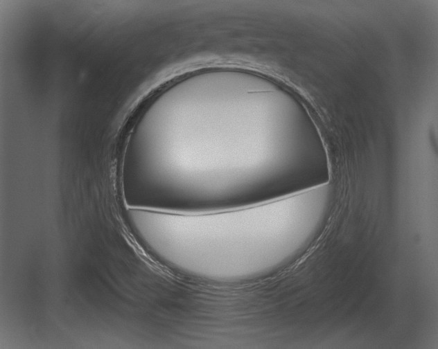 X0000083611503200702120710