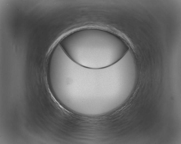 X0000083611504200702120710