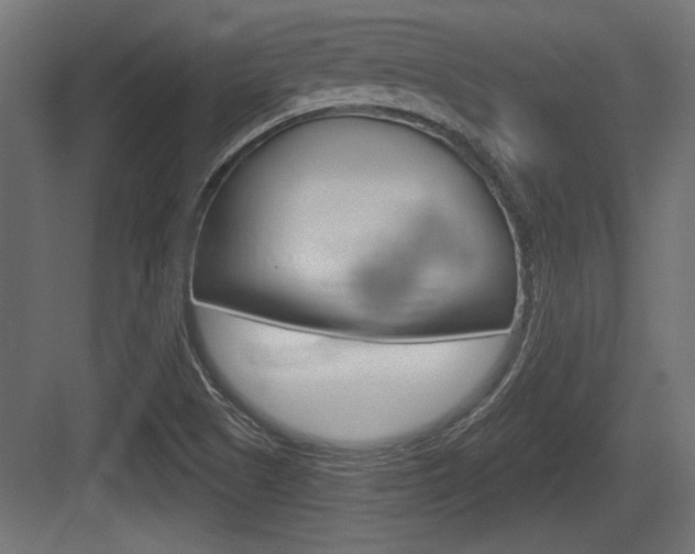 X0000083611505200702120710